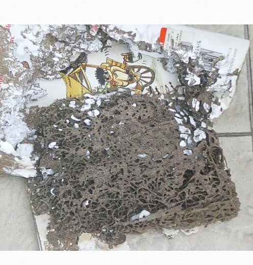 Termite mud workings built over stored material